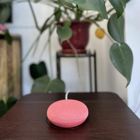 coral google nest mini en apartamento