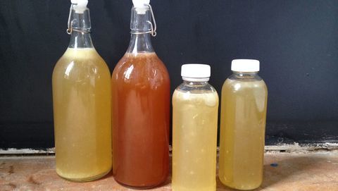 kombucha embotellada