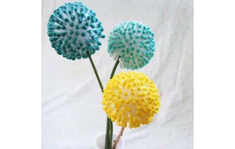 flor del diente de Q-tips